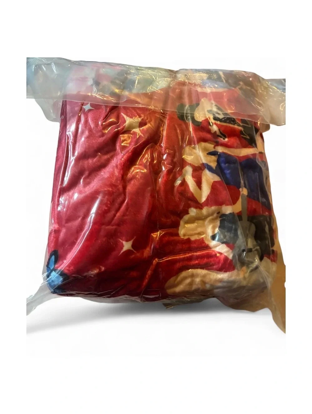 Taylor Swift / Swiftie / Eras Tour Inspired Fleece Blanket 50x60 NWT
